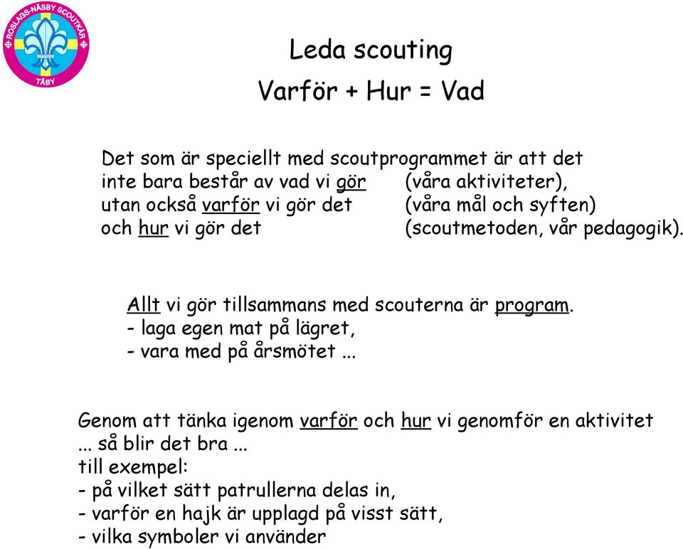 Allt vi gör tillsammans med scouterna är program. - laga egen mat på lägret, - vara med på årsmötet.