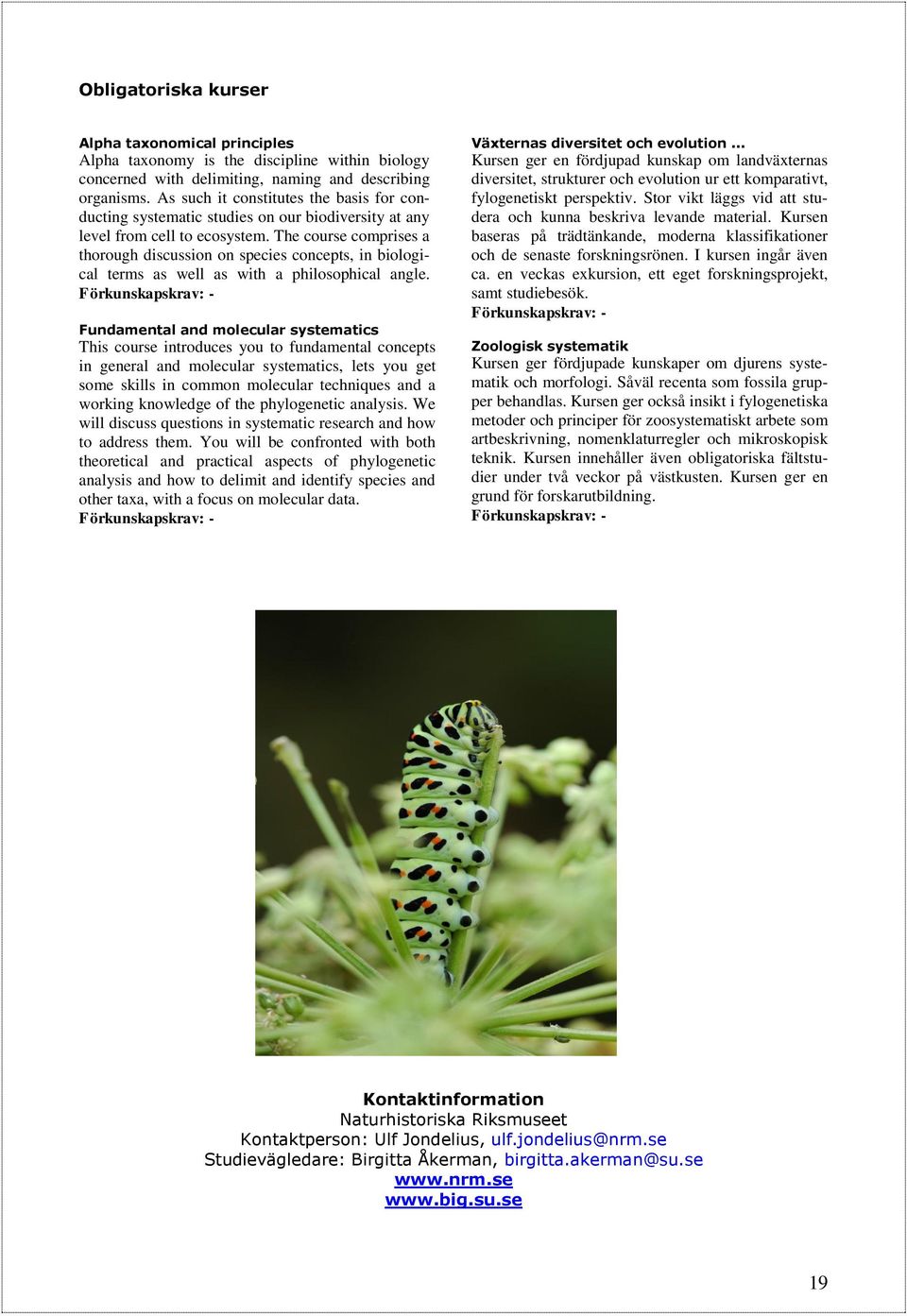 The course comprises a thorough discussion on species concepts, in biological terms as well as with a philosophical angle.