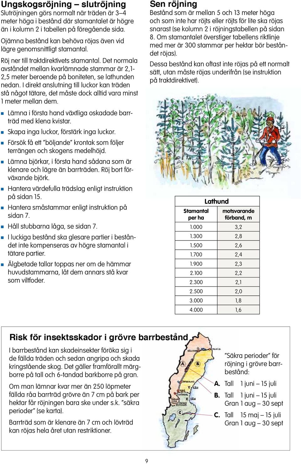 Det ormala avstådet mella kvarlämade stammar är 2,1-2,5 meter beroede på boitete, se lathude eda.