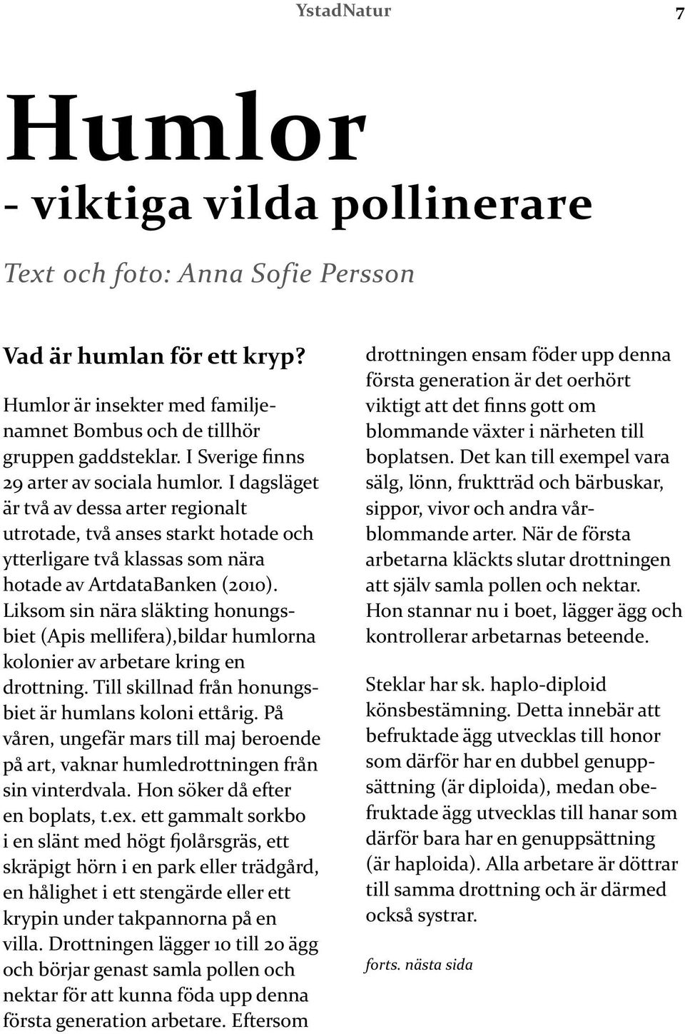 Liksom sin nära släkting honungsbiet (Apis mellifera),bildar humlorna kolonier av arbetare kring en drottning. Till skillnad från honungsbiet är humlans koloni ettårig.