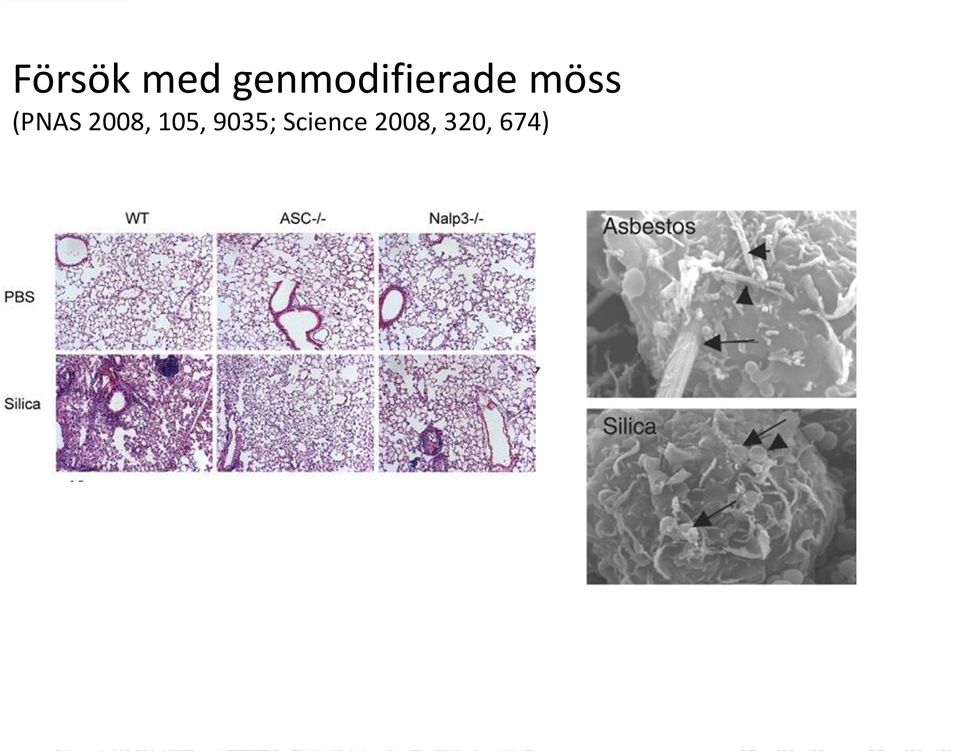 (PNAS 2008, 105,