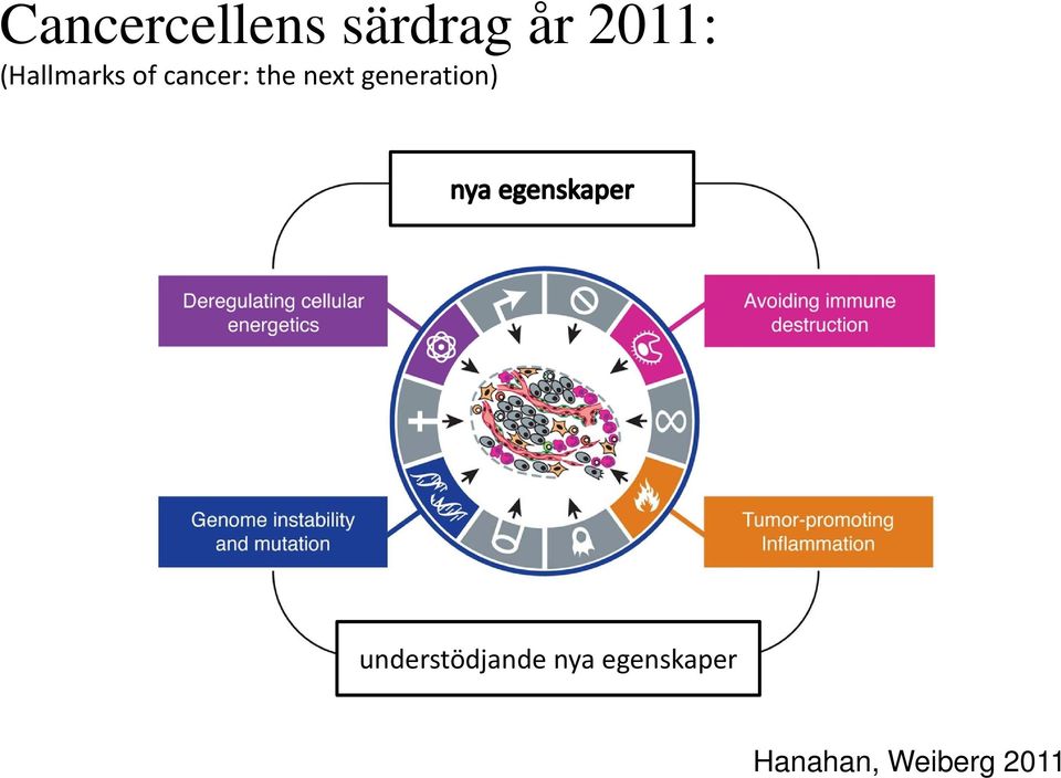 generation) understödjande nya