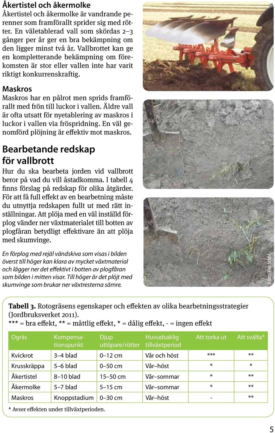 Vallbrottet kan ge en kompletterande bekämpning om förekomsten är stor eller vallen inte har varit riktigt konkurrenskraftig.