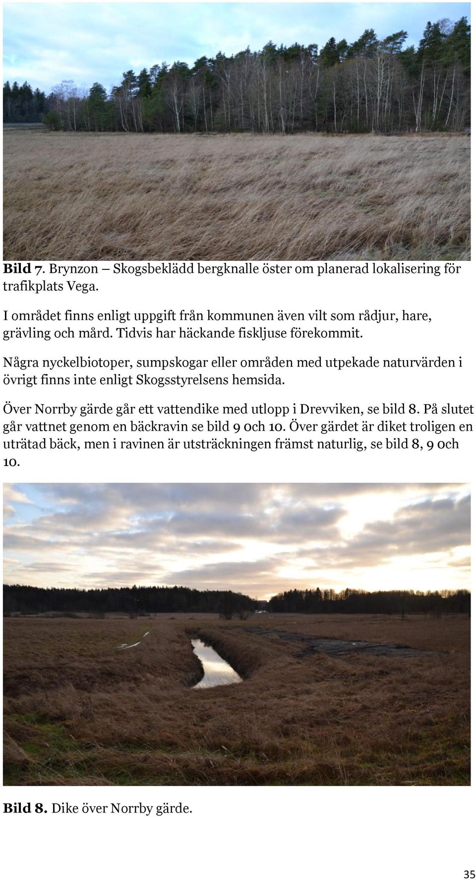Några nyckelbiotoper, sumpskogar eller områden med utpekade naturvärden i övrigt finns inte enligt Skogsstyrelsens hemsida.
