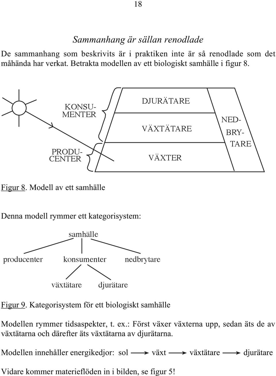 Modell av ett samhälle Denna modell rymmer ett kategorisystem: samhälle producenter konsumenter nedbrytare växtätare djurätare Figur 9.