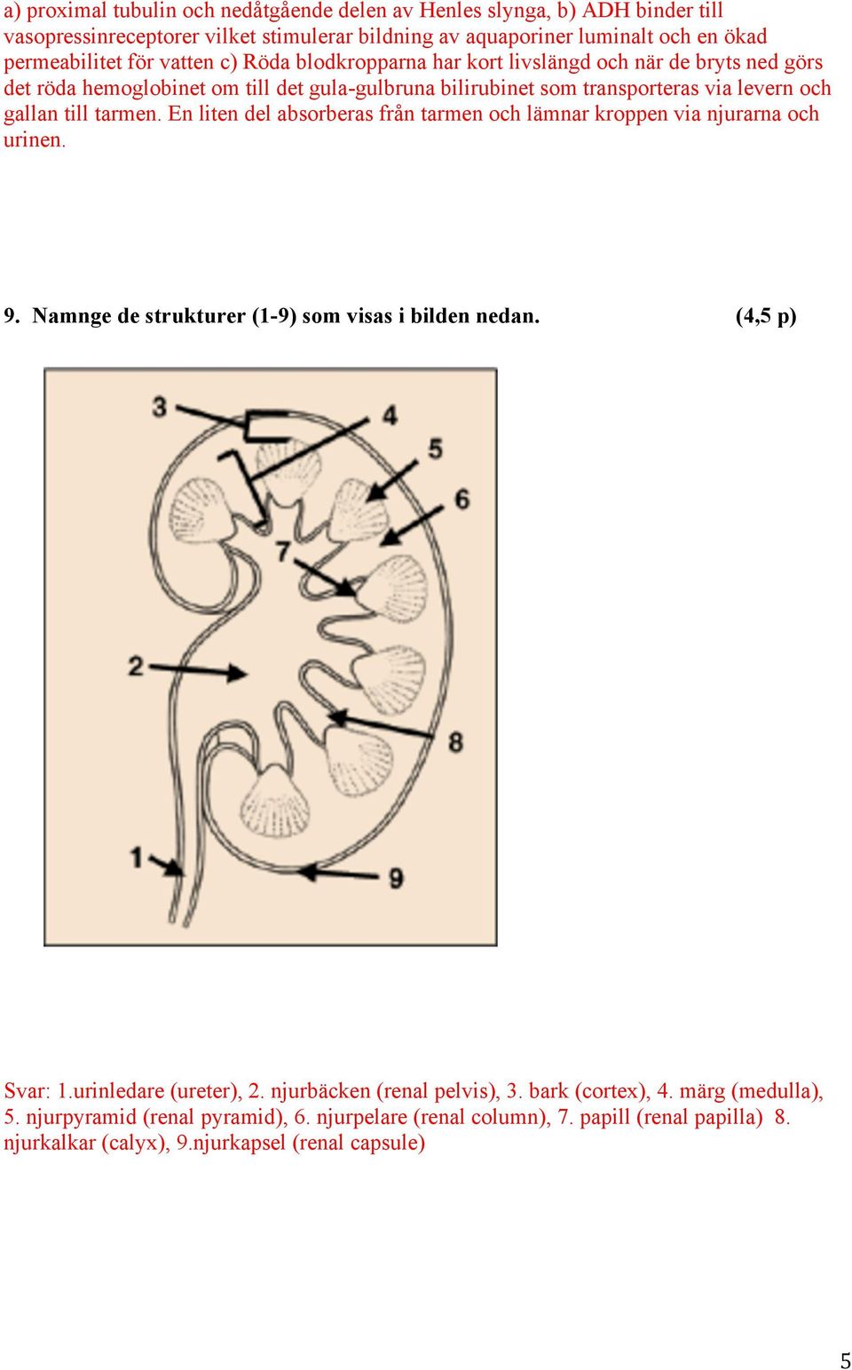 En liten del absorberas från tarmen och lämnar kroppen via njurarna och urinen. 9. Namnge de strukturer (1-9) som visas i bilden nedan. (4,5 p) Svar: 1.urinledare (ureter), 2.