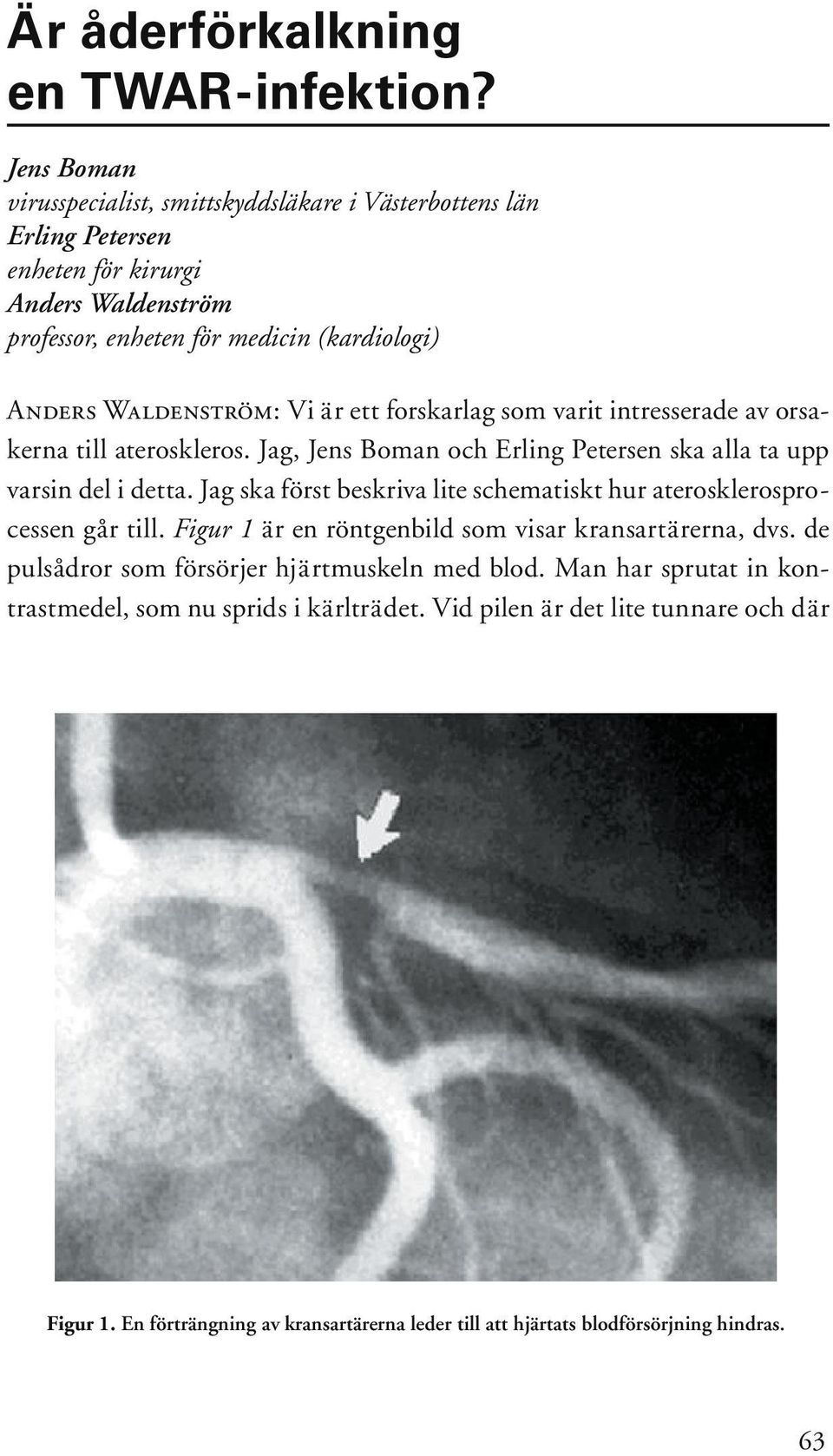 Vi är ett forskarlag som varit intresserade av orsakerna till ateroskleros. Jag, Jens Boman och Erling Petersen ska alla ta upp varsin del i detta.