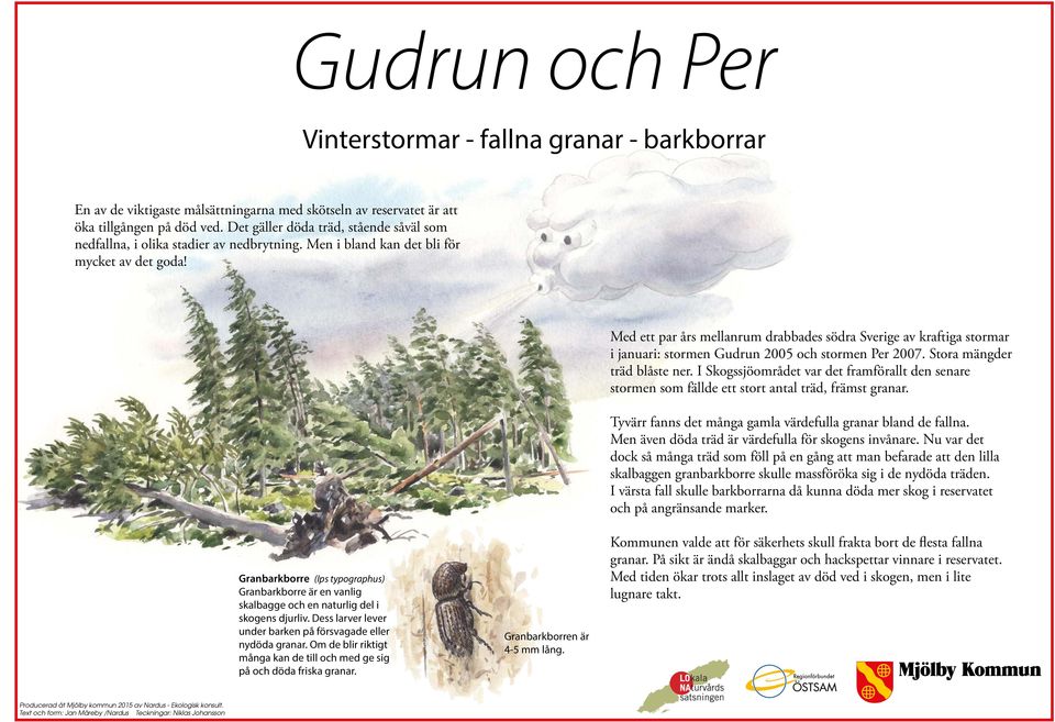 Med ett par års mellanrum drabbades södra Sverige av kraftiga stormar i januari: stormen Gudrun 2005 och stormen Per 2007. Stora mängder träd blåste ner.