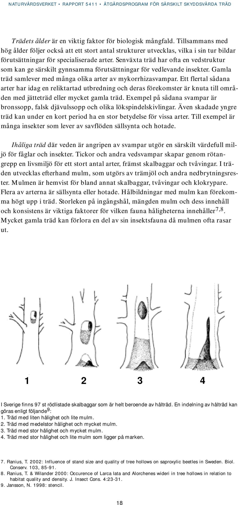 Senväxta träd har ofta en vedstruktur som kan ge särskilt gynnsamma förutsättningar för vedlevande insekter. Gamla träd samlever med många olika arter av mykorrhizasvampar.