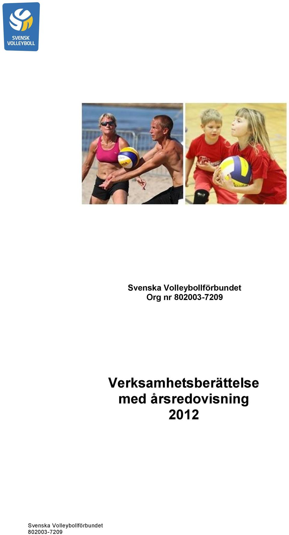Verksamhetsberättelse med