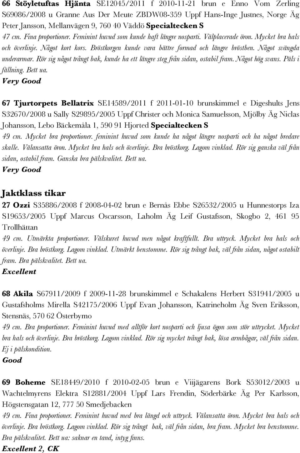 Bröstkorgen kunde vara bättre formad och längre bröstben. Något svängda underarmar. Rör sig något trångt bak, kunde ha ett längre steg från sidan, ostabil fram. Något hög svans. Päls i fällning.