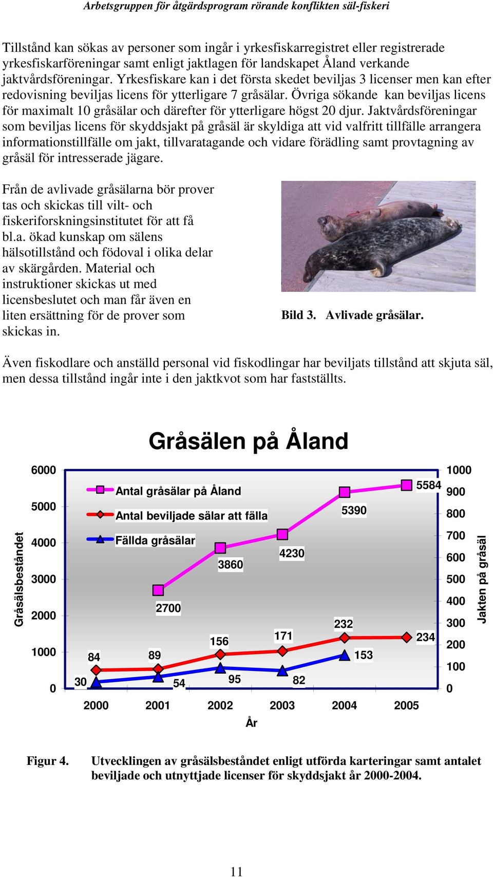 Övriga sökande kan beviljas licens för maximalt 10 gråsälar och därefter för ytterligare högst 20 djur.