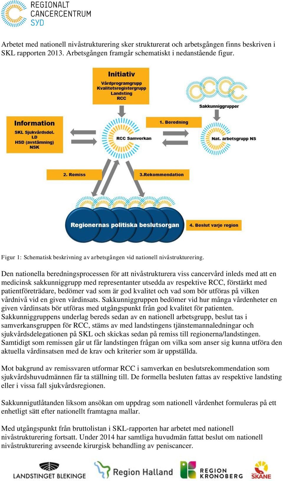 Den natinella beredningsprcessen för att nivåstrukturera viss cancervård inleds med att en medicinsk sakkunniggrupp med representanter utsedda av respektive RCC, förstärkt med patientföreträdare,