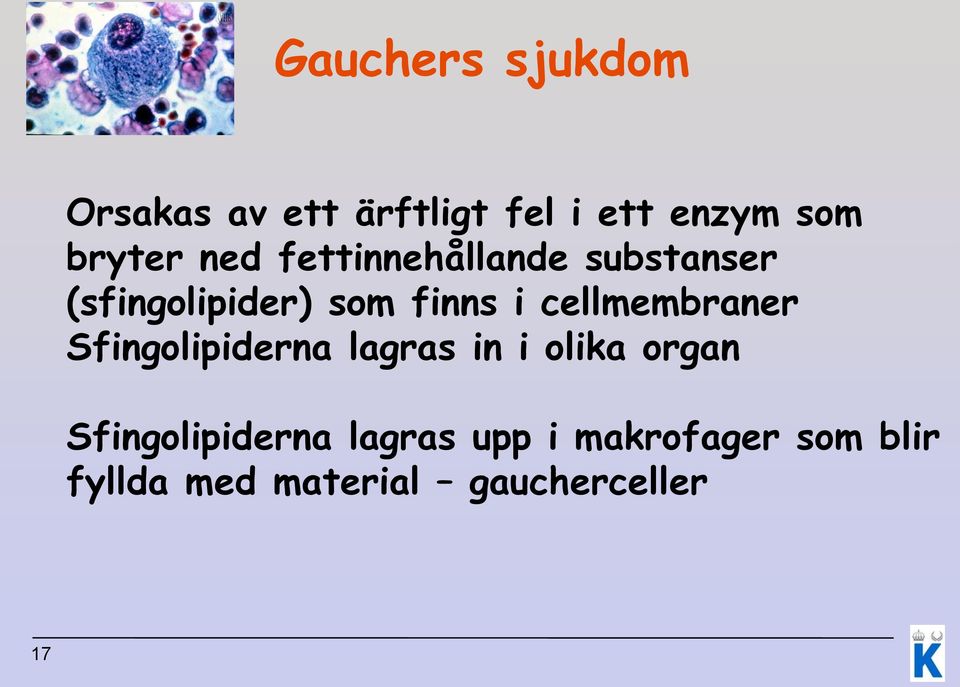 cellmembraner Sfingolipiderna lagras in i olika organ
