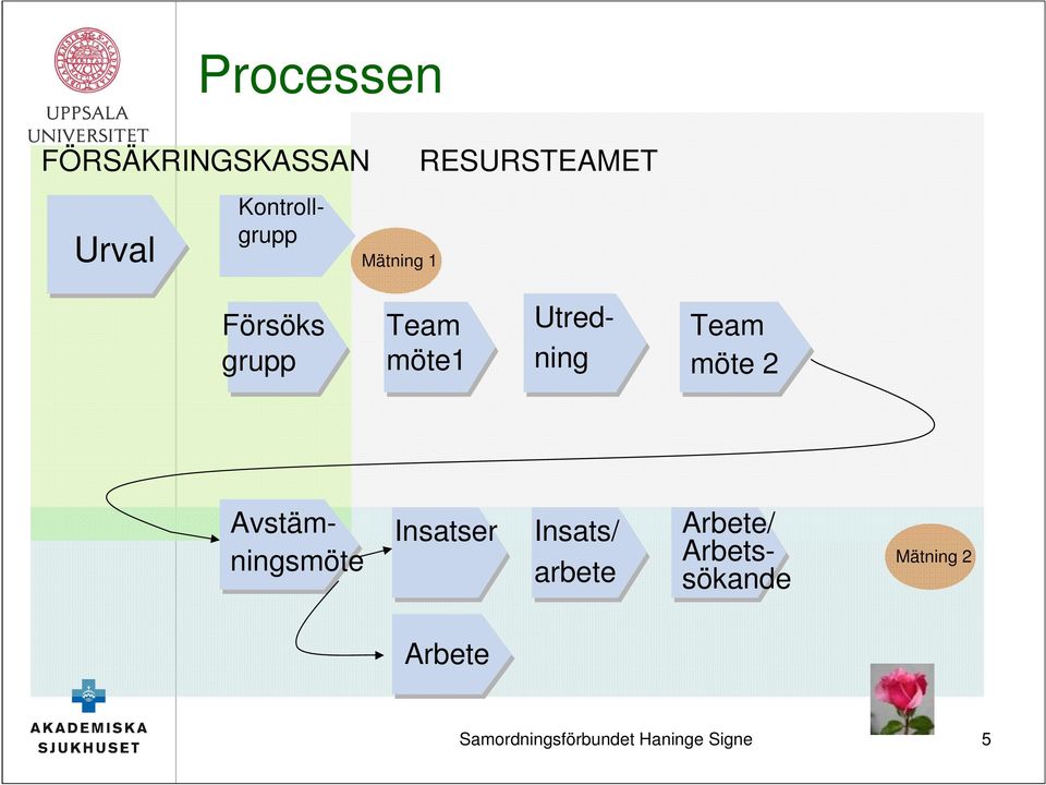 2 Avstämningsmöte Insatser Insats/ arbete Arbete/