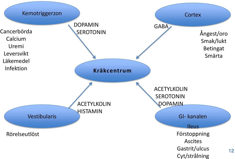 Vestibularis ACETYLKOLIN HISTAMIN ACETYLKOLIN SEROTONIN DOPAMIN GI-