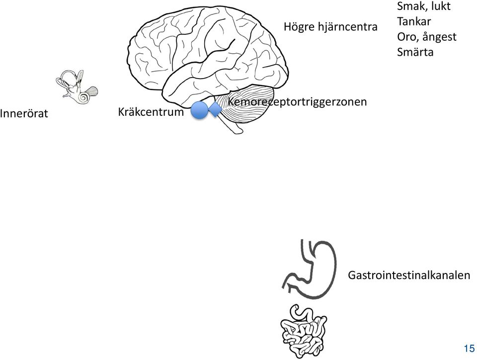 Innerörat Kräkcentrum