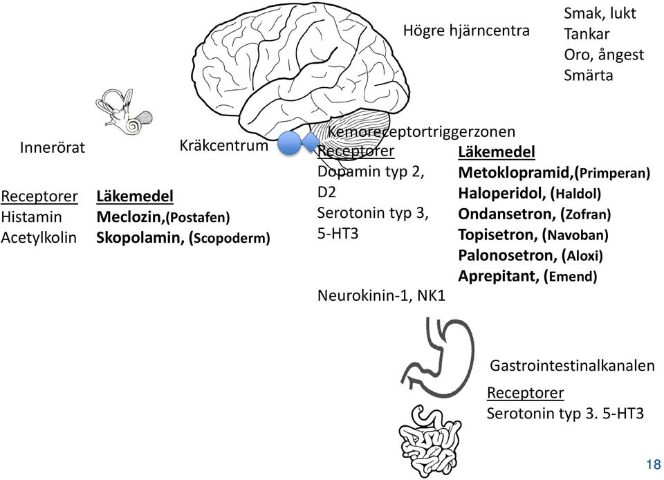 Metoklopramid,(Primperan) D2 Haloperidol, (Haldol) Serotonin typ 3, Ondansetron, (Zofran) 5-HT3 Topisetron,