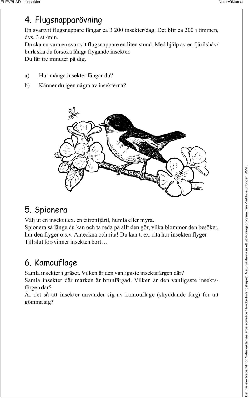 Spionera Välj ut en insekt t.ex. en citronfjäril, humla eller myra. Spionera så länge du kan och ta reda på allt den gör, vilka blommor den besöker, hur den flyger o.s.v. Anteckna och rita! Du kan t.