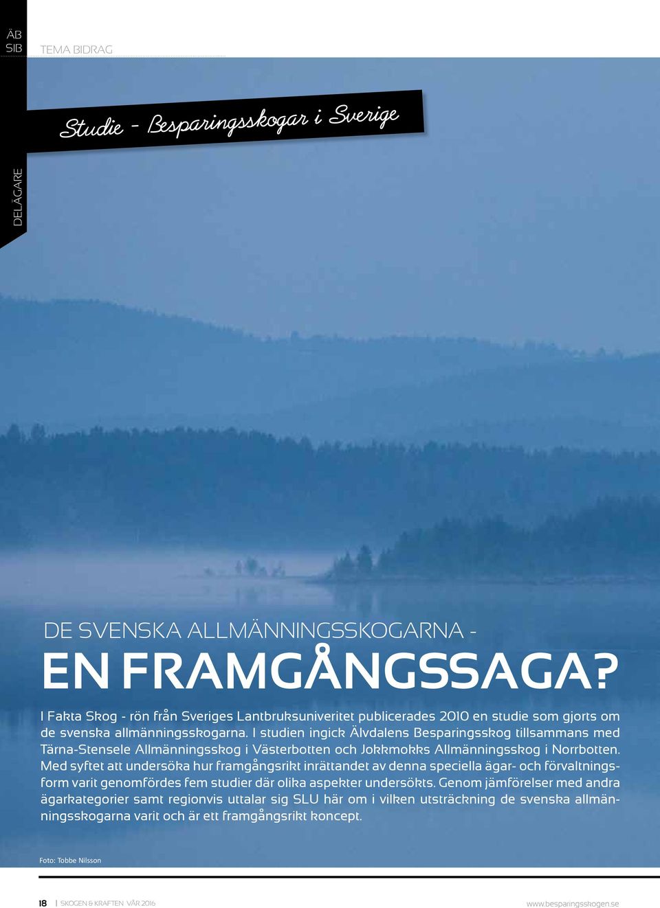 I studien ingick Älvdalens Besparingsskog tillsammans med Tärna-Stensele Allmänningsskog i Västerbotten och Jokkmokks Allmänningsskog i Norrbotten.