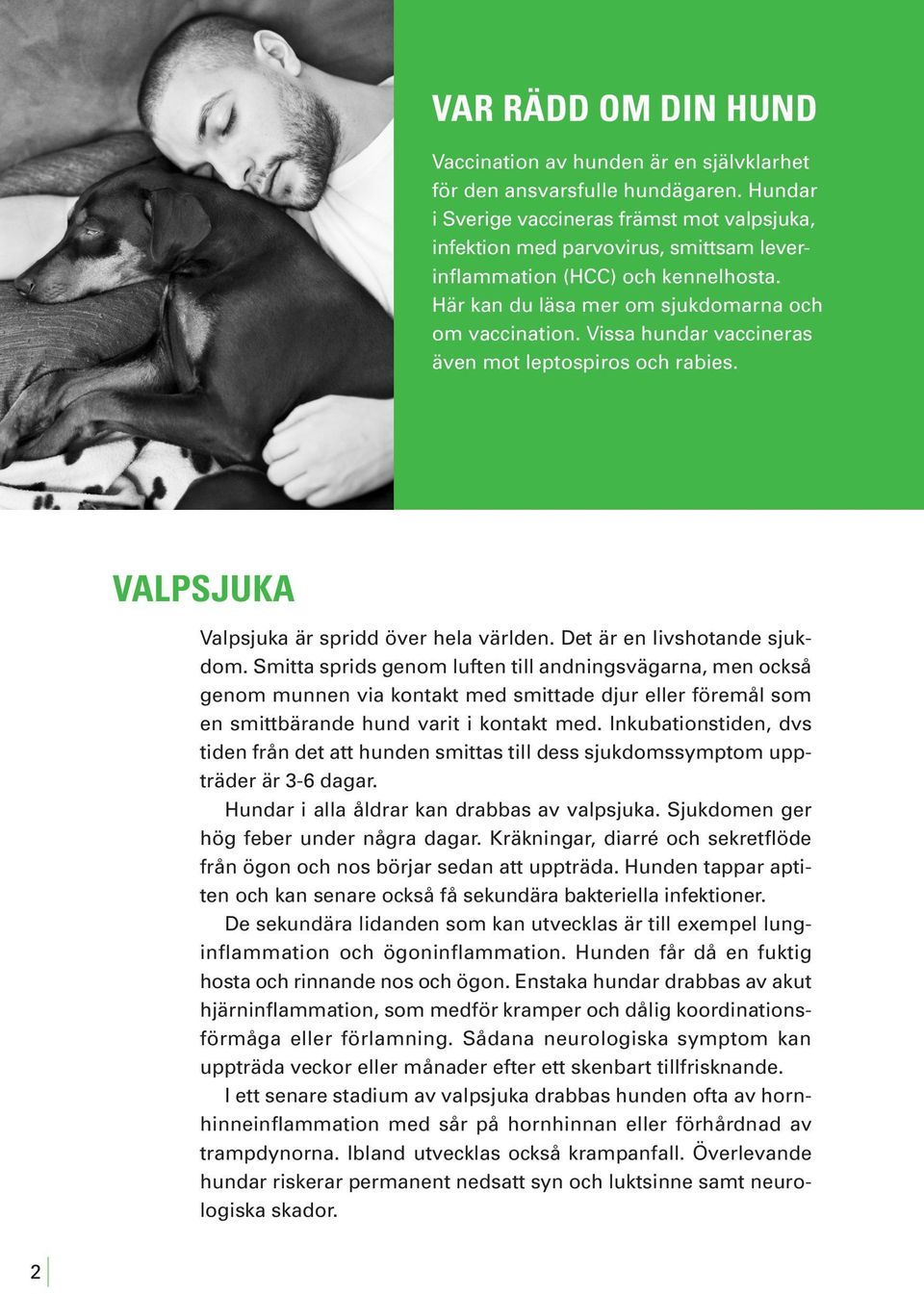 Vissa hundar vaccineras även mot leptospiros och rabies. VALPSJUKA Valpsjuka är spridd över hela världen. Det är en livshotande sjukdom.