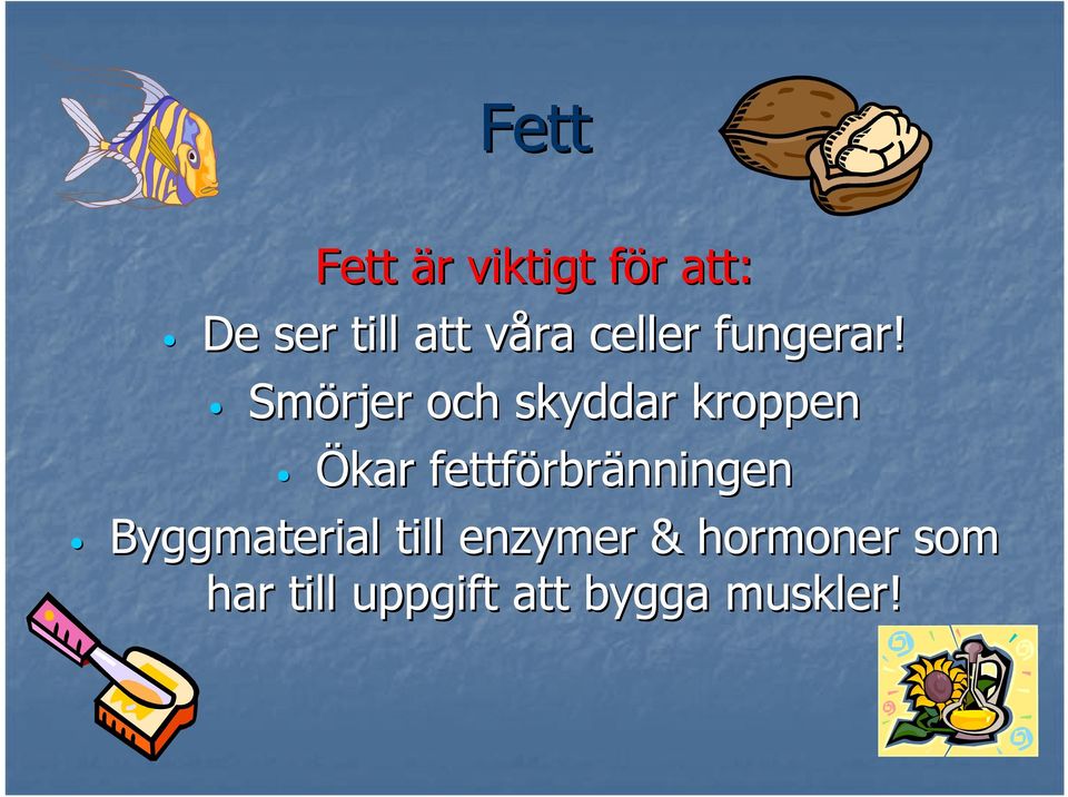 Smörjer och skyddar kroppen Ökar fettförbr