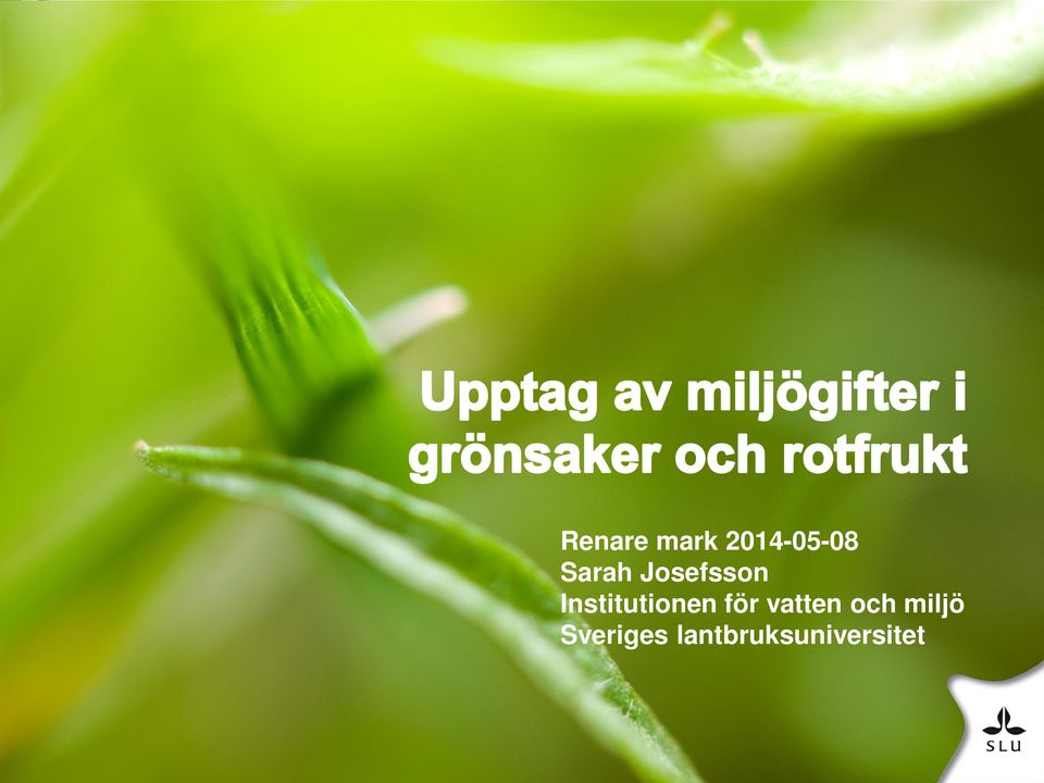 Institutionen för vatten