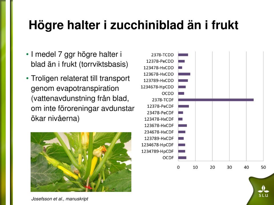 transport genom evapotranspiration (vattenavdunstning från blad,