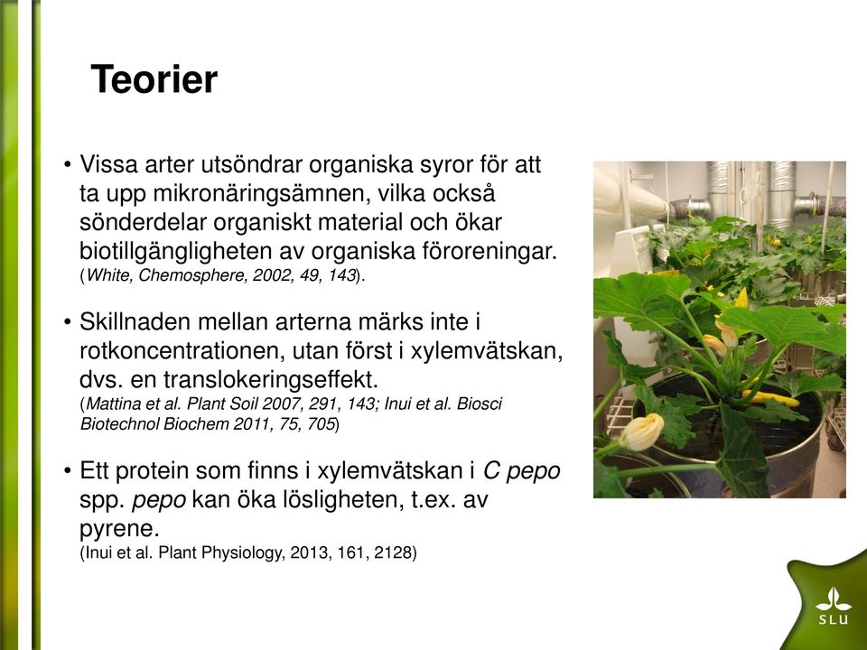 Skillnaden mellan arterna märks inte i rotkoncentrationen, utan först i xylemvätskan, dvs. en translokeringseffekt. (Mattina et al.