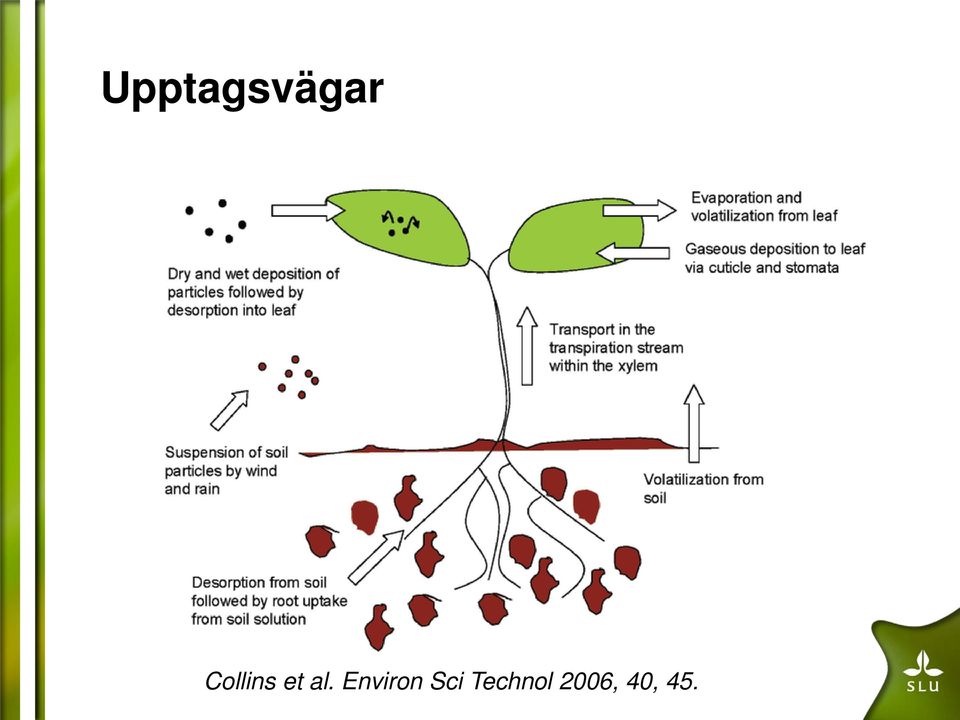 Environ Sci