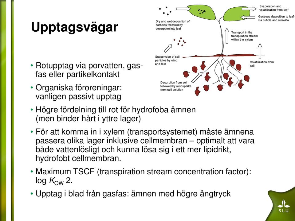 ämnena passera olika lager inklusive cellmembran optimalt att vara både vattenlösligt och kunna lösa sig i ett mer lipidrikt,