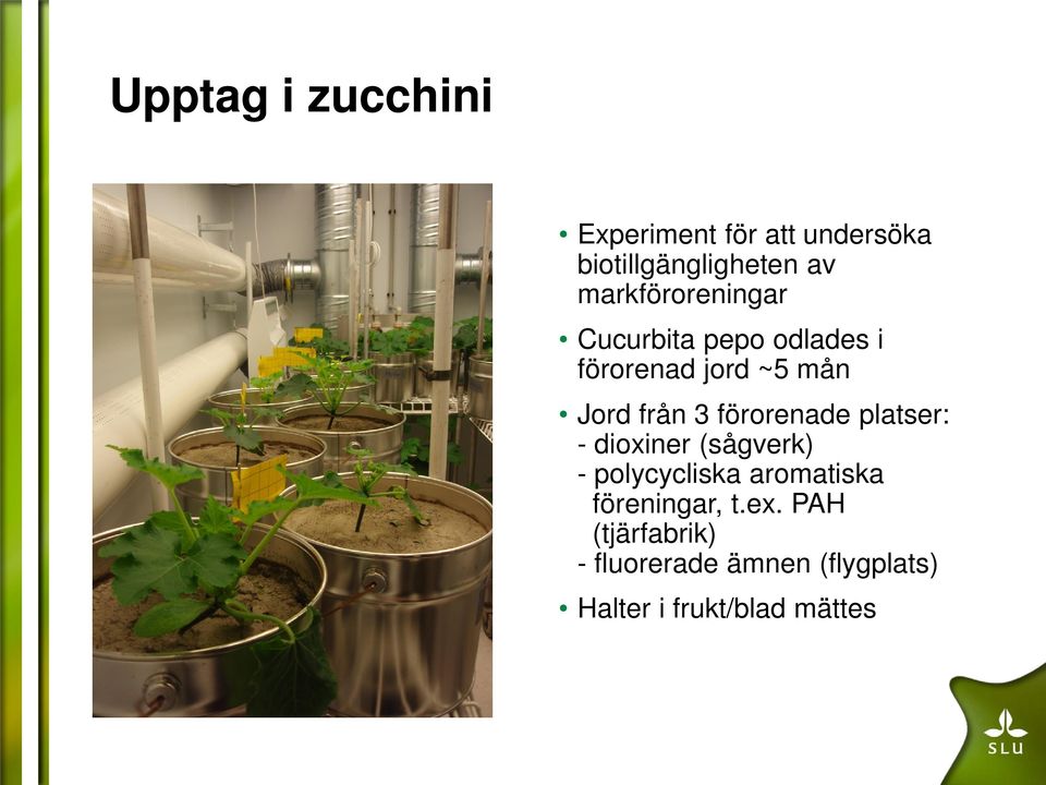 förorenade platser: - dioxiner (sågverk) - polycycliska aromatiska