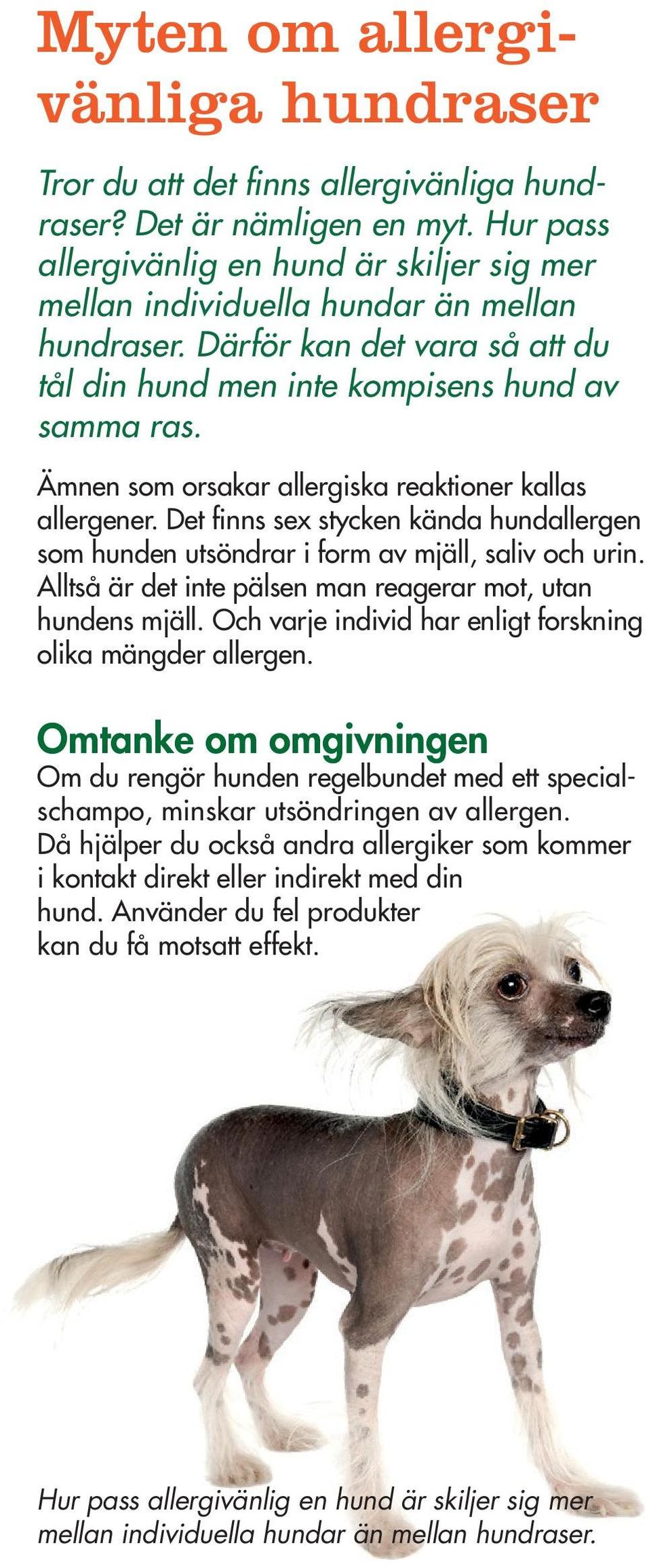 Ämnen som orsakar allergiska reaktioner kallas allergener. Det finns sex stycken kända hundallergen som hunden utsöndrar i form av mjäll, saliv och urin.