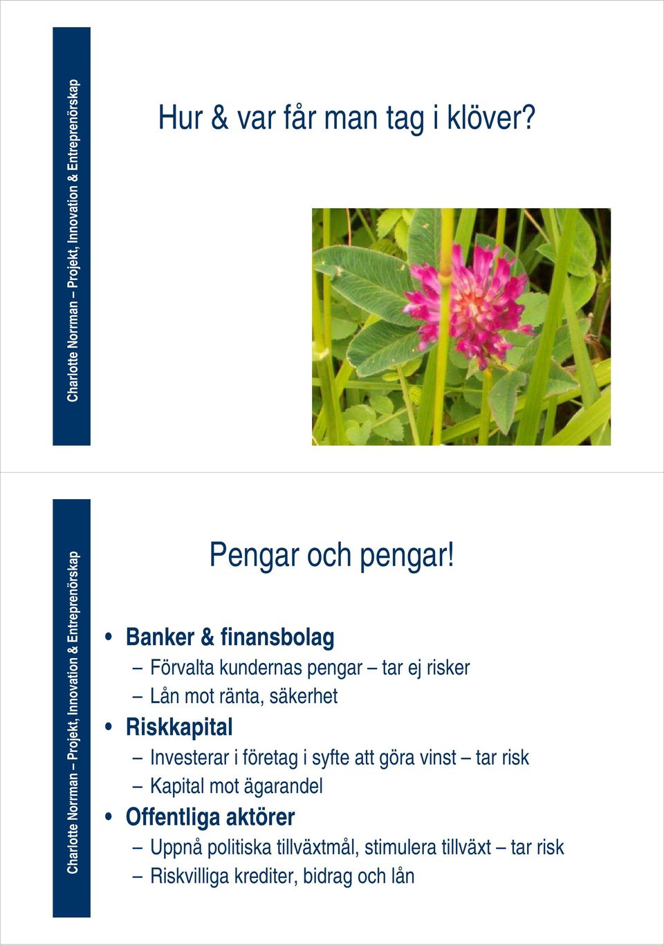 säkerhet Riskkapital Investerar i företag i syfte att göra vinst tar risk Kapital