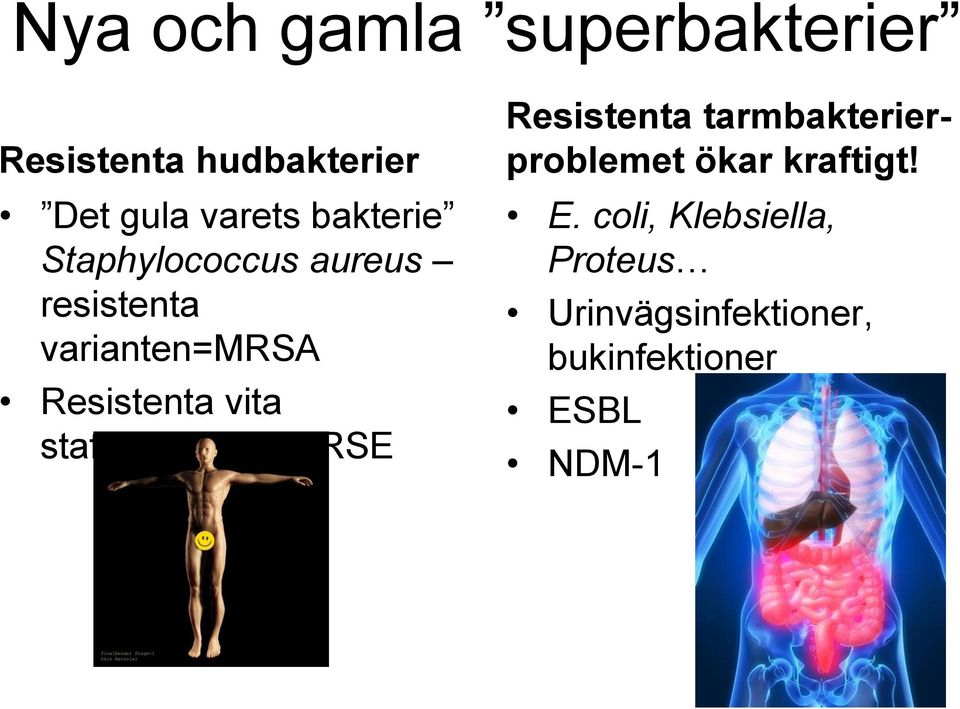 vita staffylokocker=mrse Resistenta tarmbakterierproblemet ökar