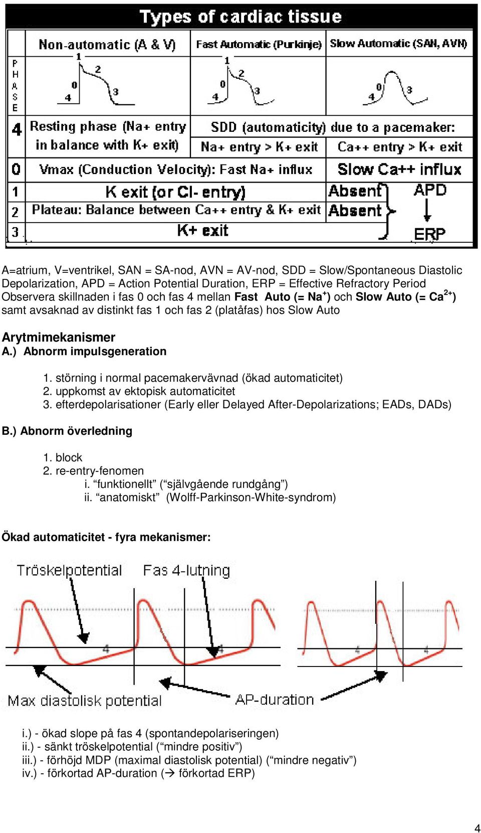 störning i normal pacemakervävnad (ökad automaticitet) 2. uppkomst av ektopisk automaticitet 3. efterdepolarisationer (Early eller Delayed After-Depolarizations; EADs, DADs) B.) Abnorm överledning 1.