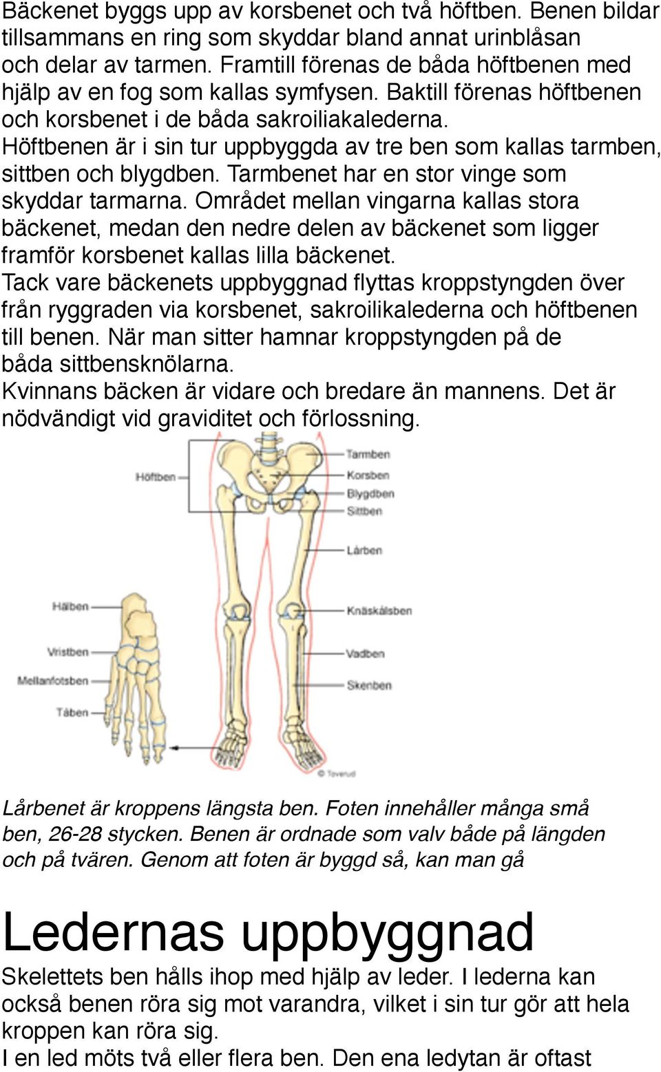 Höftbenen är i sin tur uppbyggda av tre ben som kallas tarmben, sittben och blygdben. Tarmbenet har en stor vinge som skyddar tarmarna.