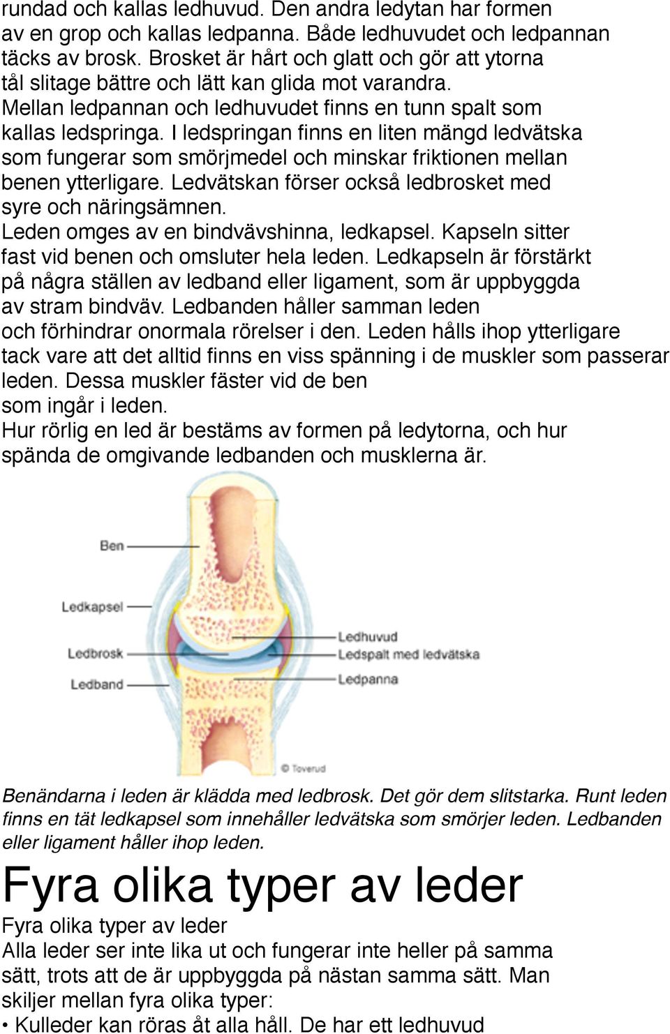 I ledspringan finns en liten mängd ledvätska som fungerar som smörjmedel och minskar friktionen mellan benen ytterligare. Ledvätskan förser också ledbrosket med syre och näringsämnen.