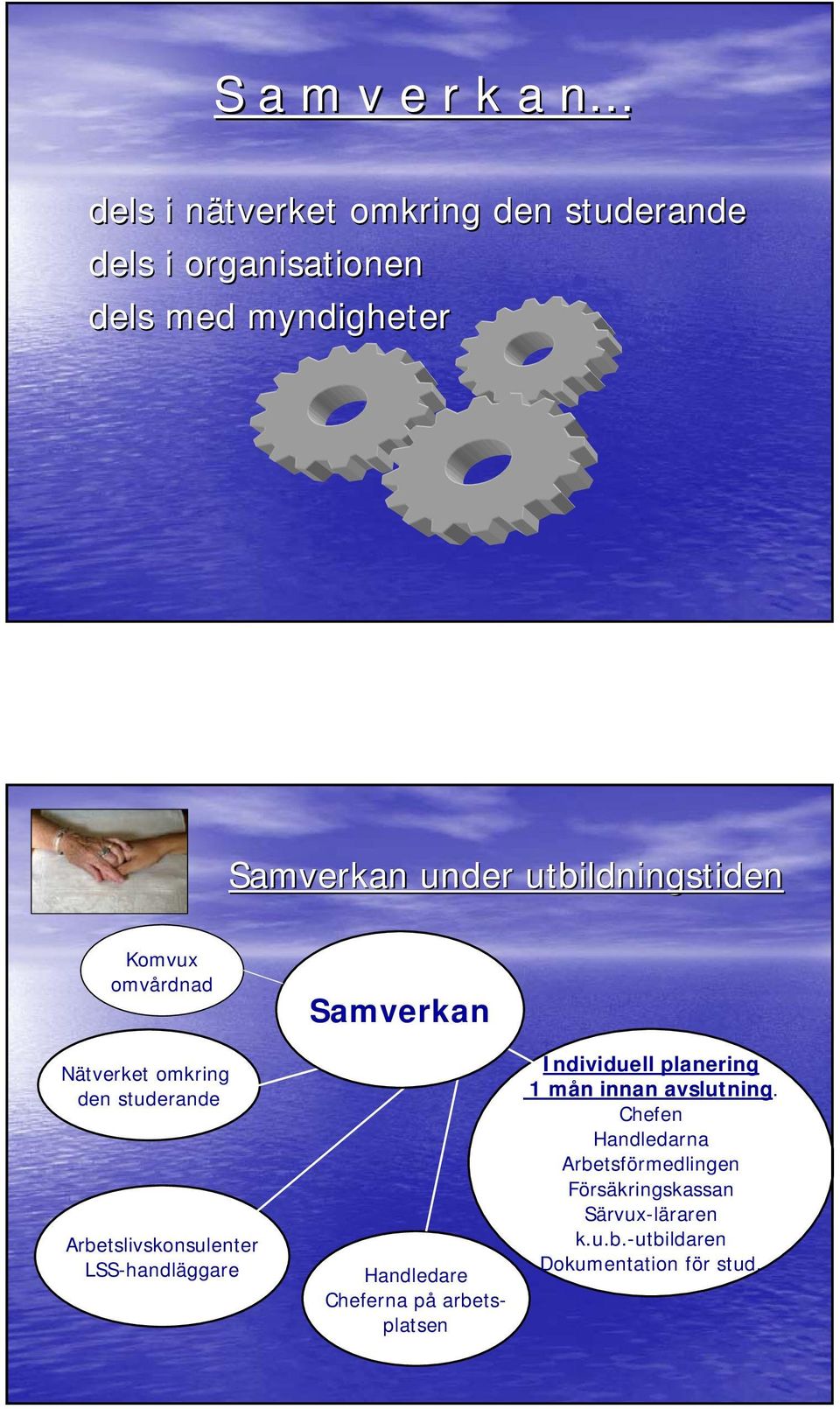 LSS-handläggare Samverkan Handledare Cheferna på arbetsplatsen Individuell planering 1 mån innan avslutning.