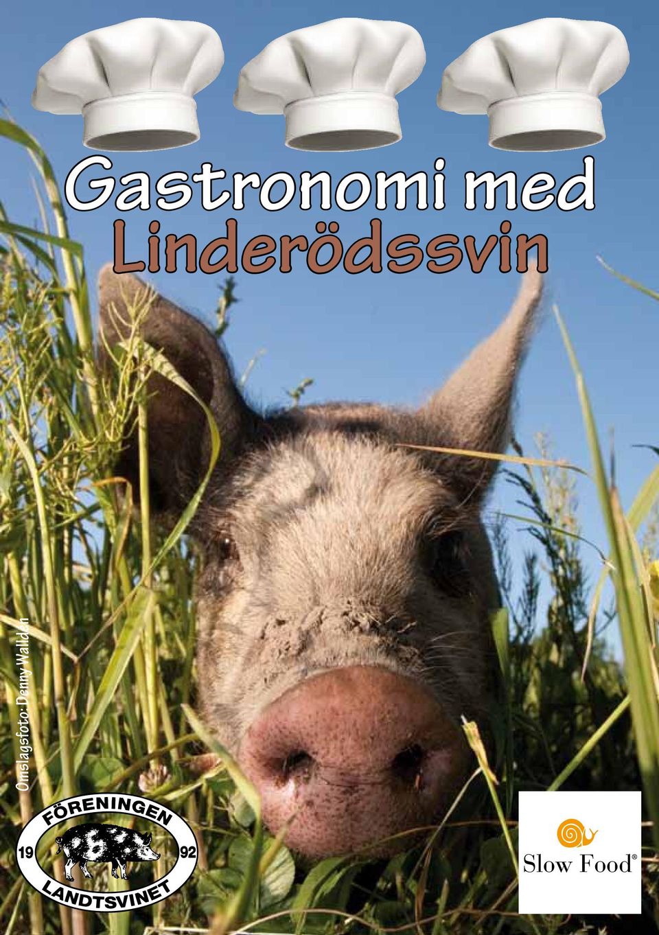 Linderödssvin