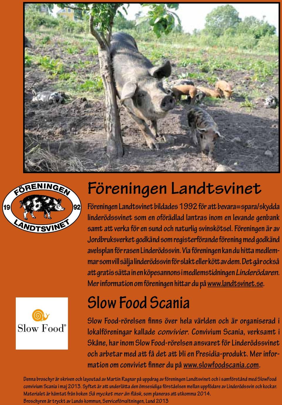 Via föreningen kan du hitta medlemmar som vill sälja linderödssvin för slakt eller kött av dem. Det går också att gratis sätta in en köpesannons i medlemstidningen Linderödaren.