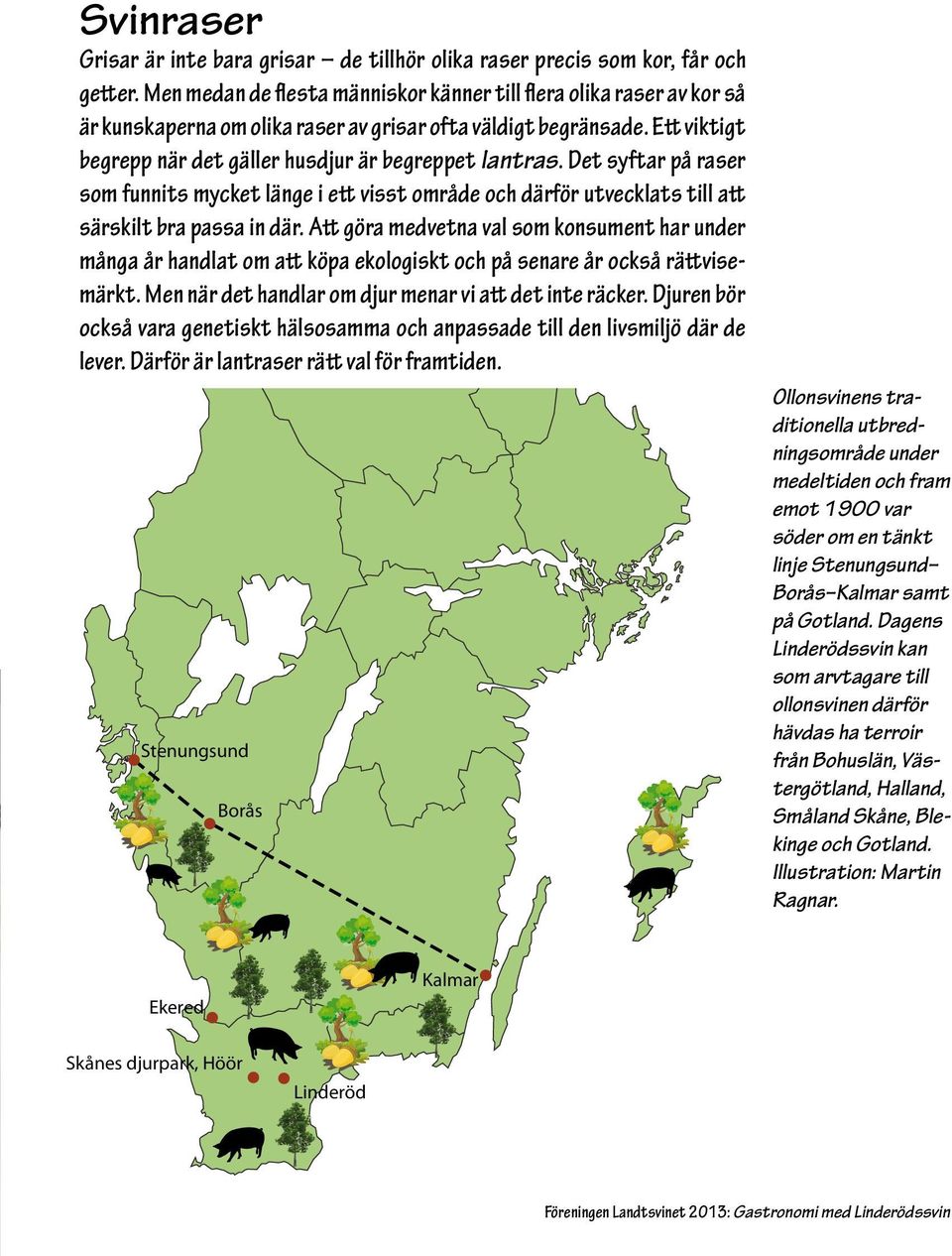 Det syftar på raser som funnits mycket länge i ett visst område och därför utvecklats till att särskilt bra passa in där.