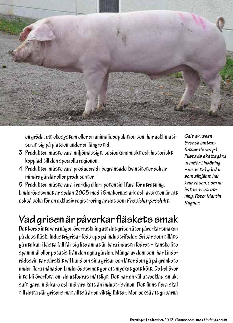 Produkten måste vara producerad i begränsade kvantiteter och av mindre gårdar eller producenter. 5. Produkten måste vara i verklig eller i potentiell fara för utrotning.