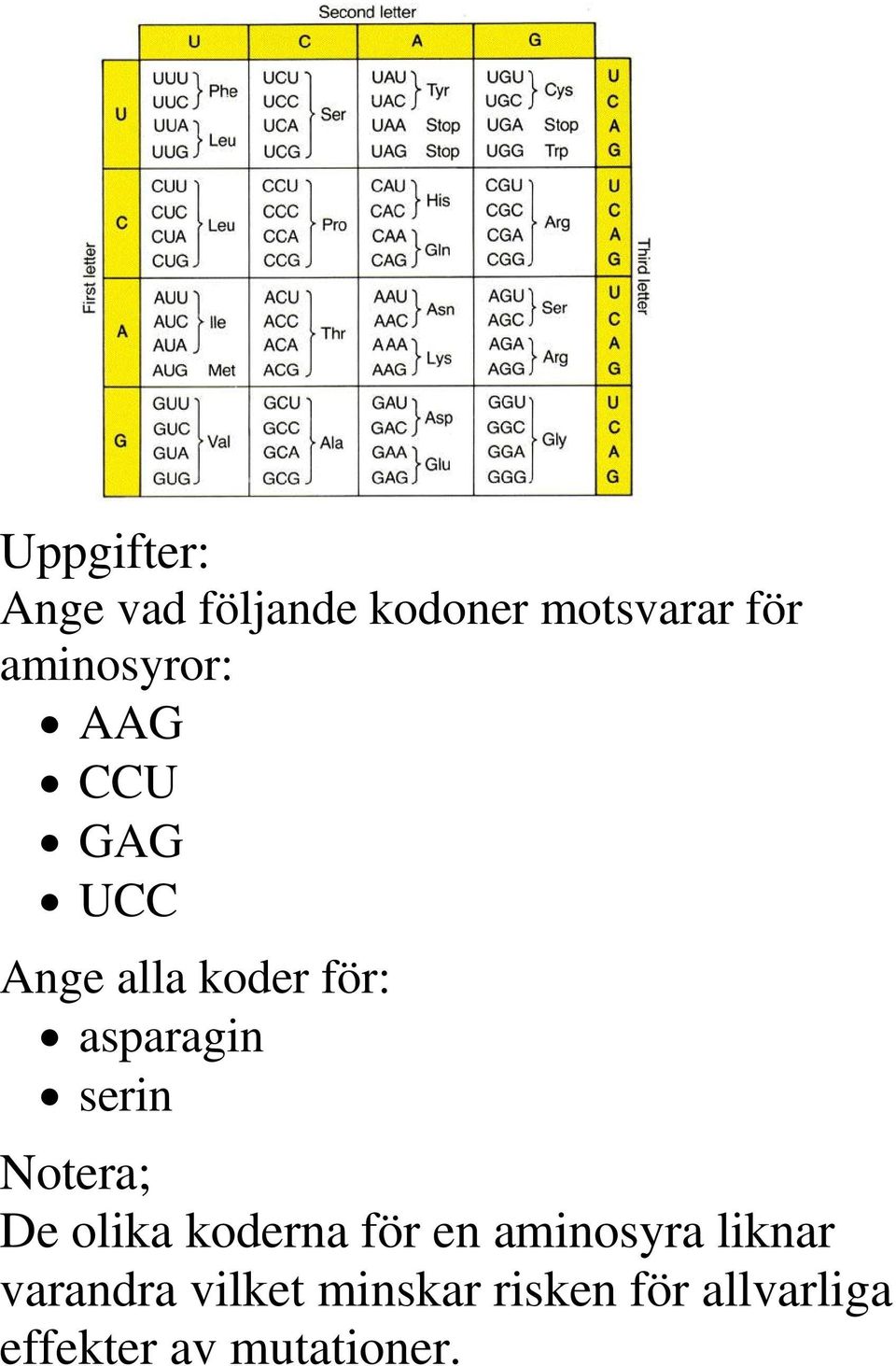 serin Notera; De olika koderna för en aminosyra liknar