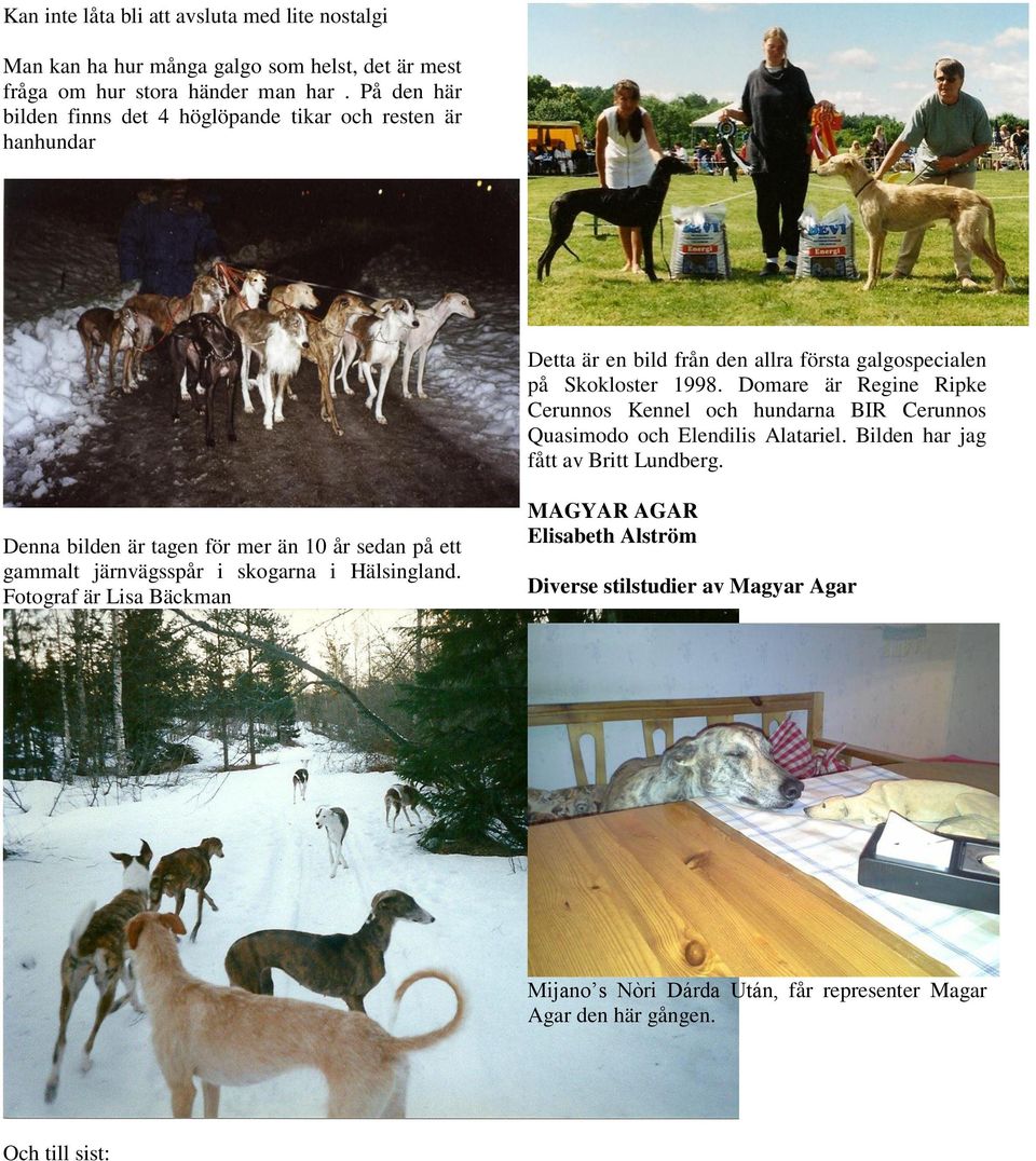 Domare är Regine Ripke Cerunnos Kennel och hundarna BIR Cerunnos Quasimodo och Elendilis Alatariel. Bilden har jag fått av Britt Lundberg.
