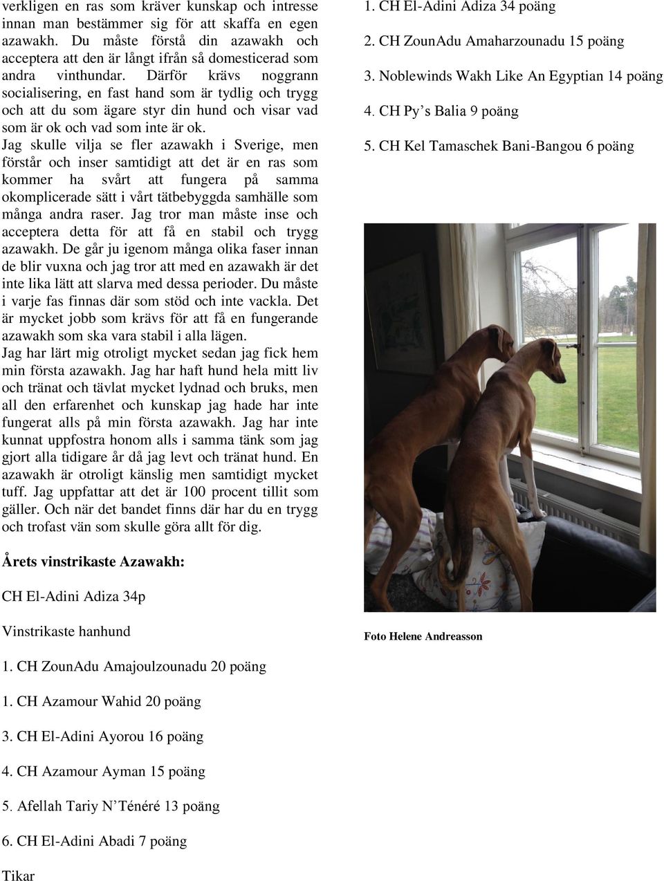 Därför krävs noggrann socialisering, en fast hand som är tydlig och trygg och att du som ägare styr din hund och visar vad som är ok och vad som inte är ok.