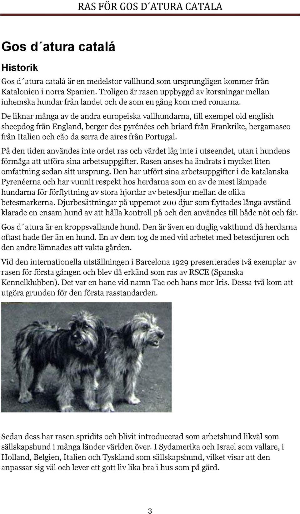 De liknar många av de andra europeiska vallhundarna, till exempel old english sheepdog från England, berger des pyrénées och briard från Frankrike, bergamasco från Italien och cão da serra de aires