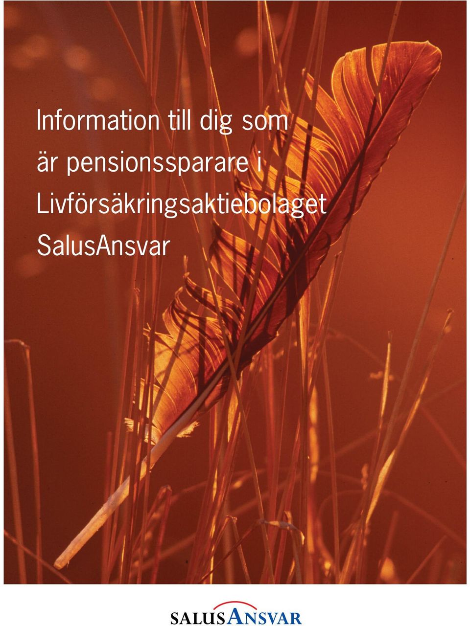 pensionssparare i