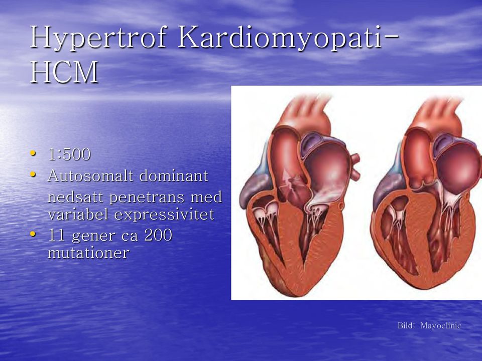 penetrans med variabel