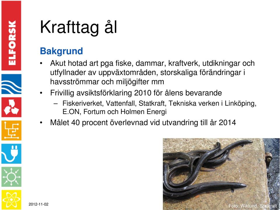 2010 för ålens bevarande Fiskeriverket, Vattenfall, Statkraft, Tekniska verken i Linköping, E.